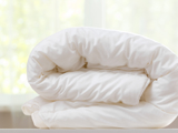 Shutterstock 1476983210