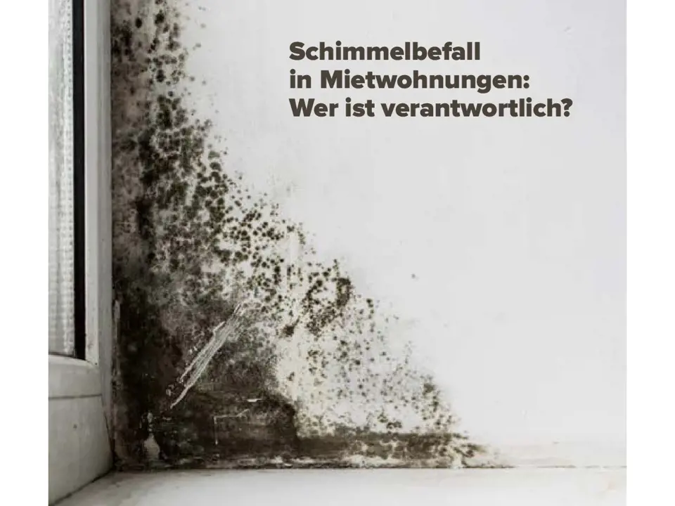 de Konsument 5/2021