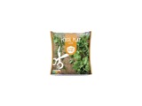 Persil Plat