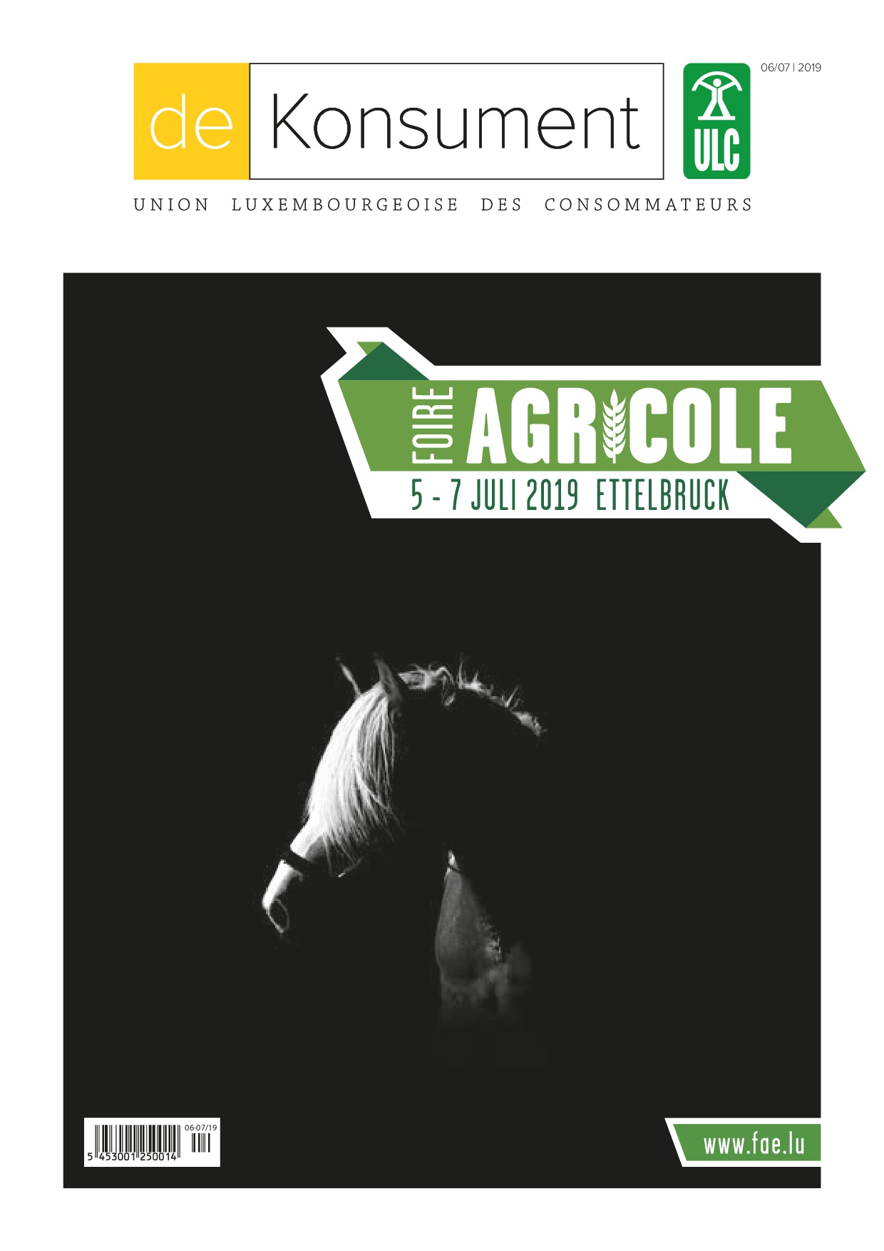 de Konsument 6-7/2019